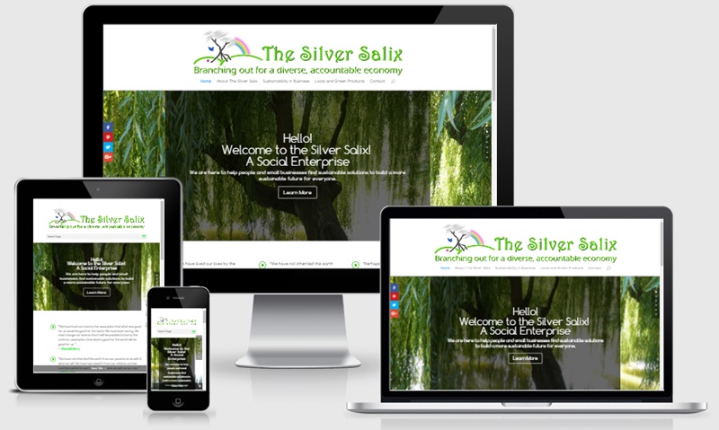 The Silver Salix